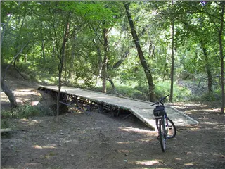 small_010819 trailIMG_1407.webp